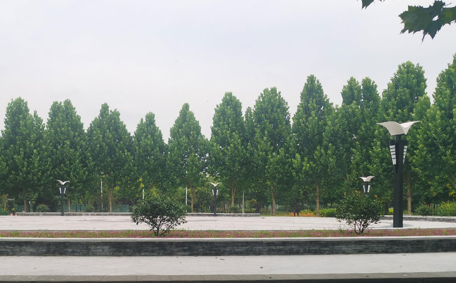 景觀燈，公園景觀燈.jpg